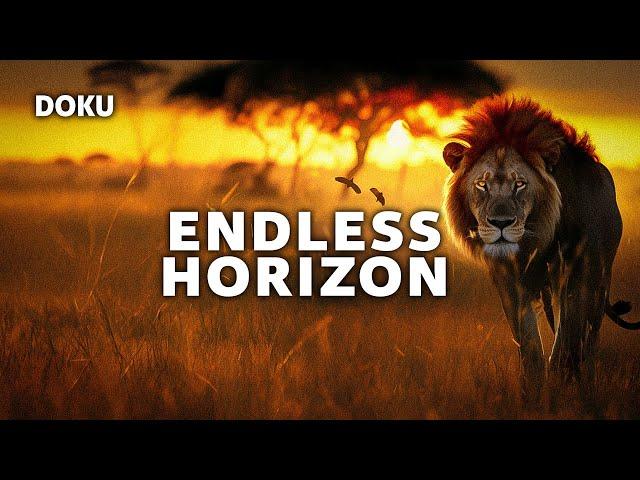 Endless Horizon (Tierdoku | Afrika Doku | komplette Doku auf Deutsch)