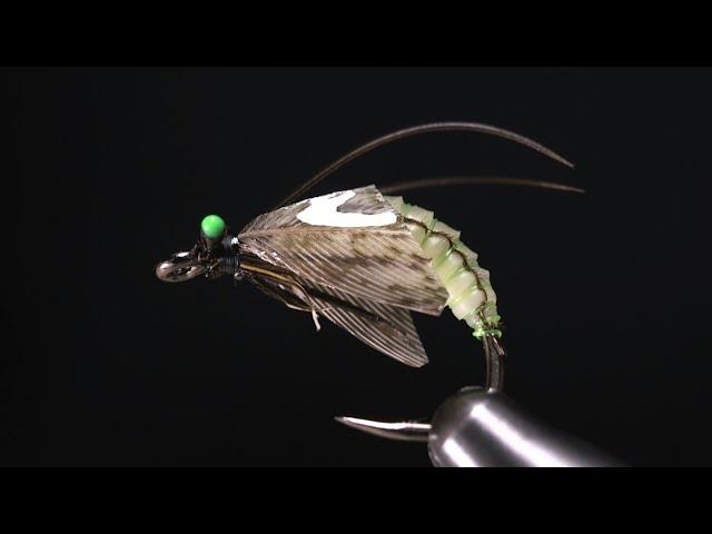 Fly Tying a Realistic Caddis Pupa