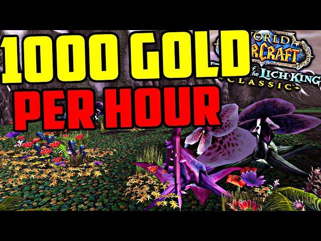 EASY 1000G PER HOUR WOTLK Classic Goldfarm - The Most Popular WOTLK Goldfarm