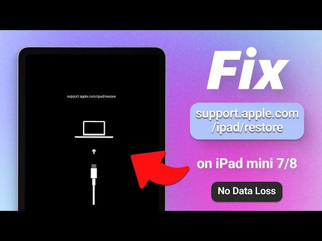 Top 3 Ways to Fix support.apple.com/ipad/restore on iPad mini 6/7/8 (2024)