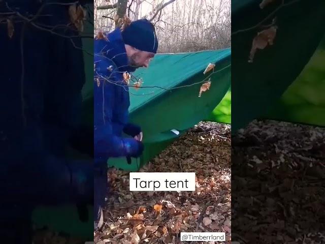 setting up Tarp tent as shelter for wind and rain