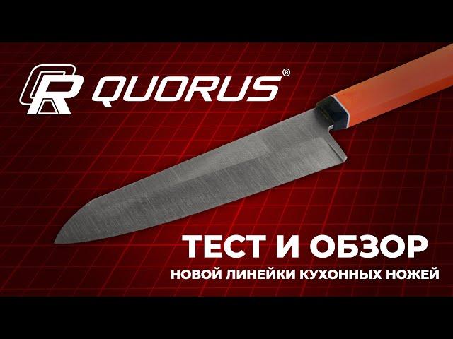 Обзор силовых моделей QUORUS.