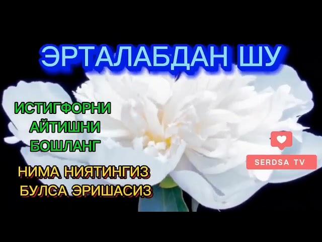 ЭРТАЛАБКИ ДУО, ФАЙЗ БАРАКА РИЗҚ БОЙЛИК ЭШИКЛАРИ СИЗ УЧУН ОЧИЛАДИ ИН ШАА АЛЛОХ,