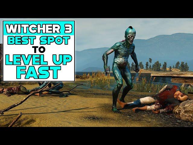 THE WITCHER 3 BEST SPOT TO LEVEL UP FAST