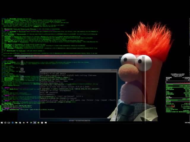 Install VNC Viewer on Raspberry Pi with Kali Linux