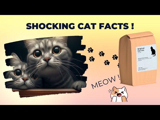 8 Shocking Cat Facts You Never Know 