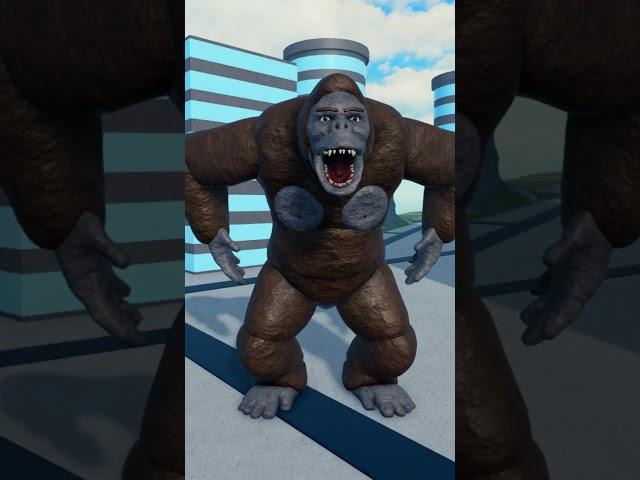 KONG 63 - 21 ROBLOX