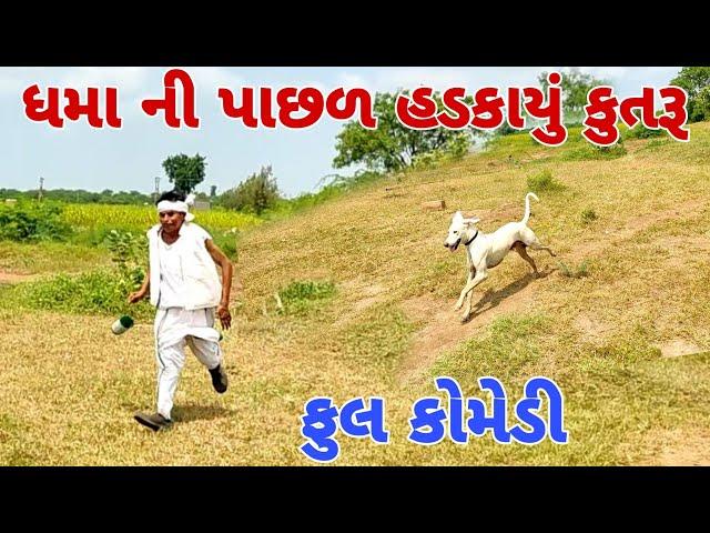 ધમા ની પાછળ હડકાયું કુતરૂ #Dhamocomedy #Gujraticomedy #Comedy   II