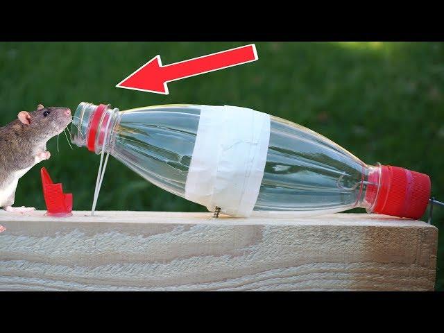 Amazing ideas |Simple Mouse Trap that Works