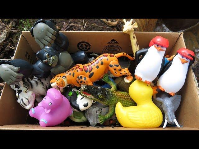 Variety of Zoo Animals for Kids! Toy Showcase