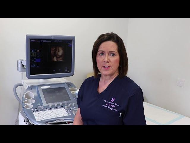 Fetal Well Being Scan at the Women's Health Group