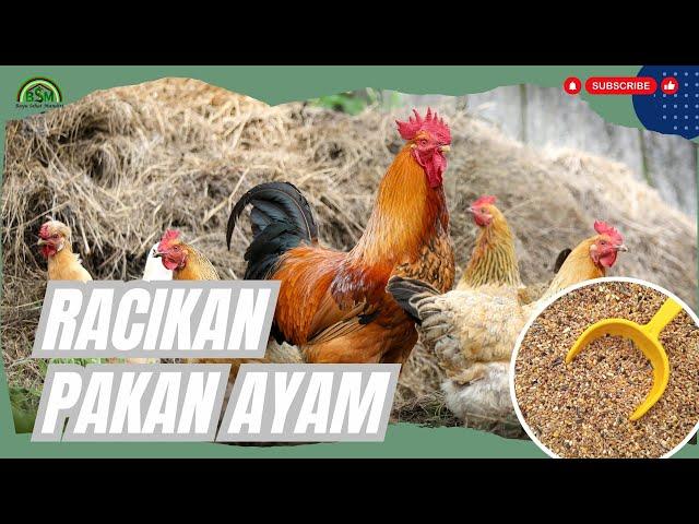 RACIKAN PAKAN AYAM YANG BAGUS