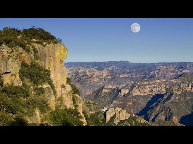 Nova Zelândia - Barancas del cobre Menu selvagem. Documentário completo