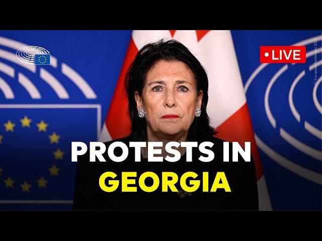 Georgian president addresses European Parliament