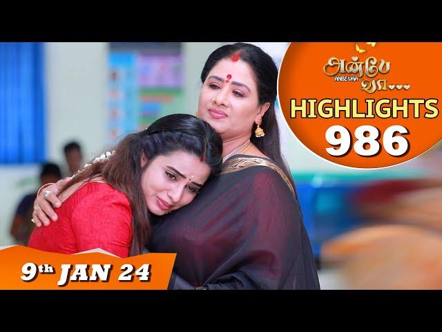 Anbe Vaa Serial | EP 986 Highlights | 9th Jan 2024 | Virat | Delna Davis | Saregama TV Shows Tamil