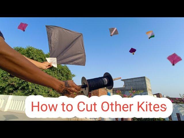 How to Cut Other Kites | Evening Kite Fighting |