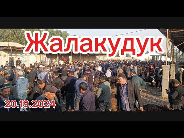 Андижон вилояти Жалакудук хайвон бозори.20.09.2024 #vodiydansado #tezkor