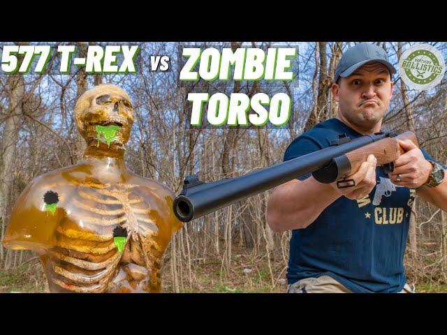 577 T-REX vs ZOMBIE TORSO ‍️ (The Real Life T-Rex Rifle !!!)