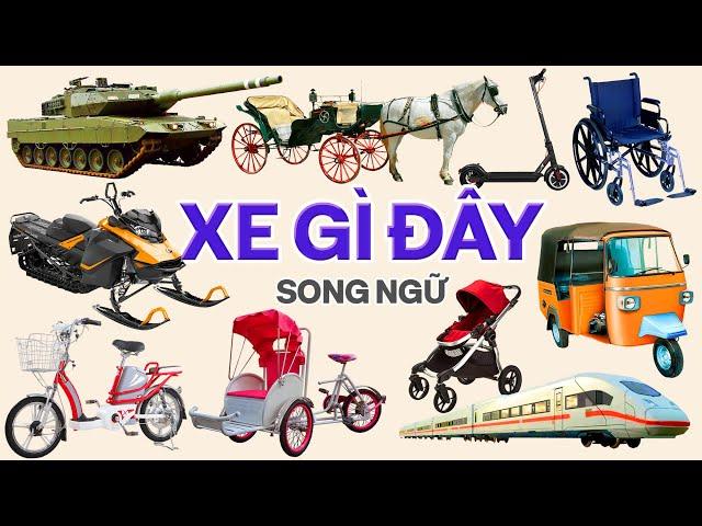 Xe Gì Đây 3, Bé Nhận Biết Phương Tiện Giao Thông, Dạy Trẻ Thông Minh Sớm, Song Ngữ Anh Việt, Vehicle