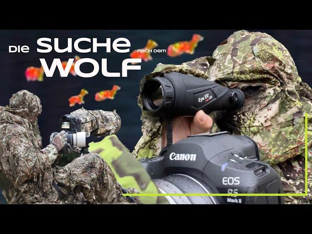 Wir suchen den Wolf! - Naturfotografie mit @nicosonnabend