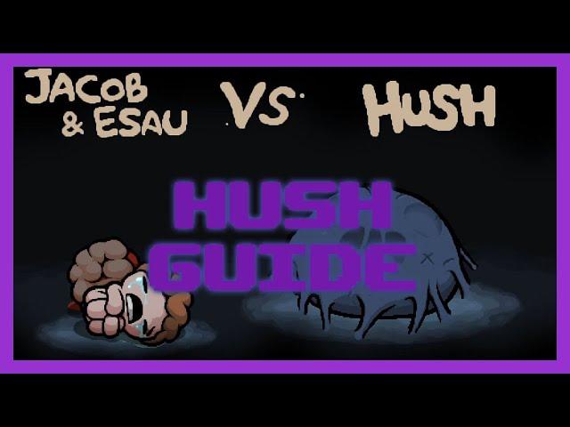 Hush Guide in less than 9 Minutes