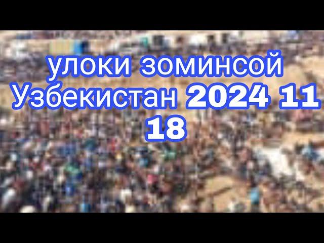 УЛОК ЗОМИНСОЙ УЗБЕКИСТАН 2024 11 18