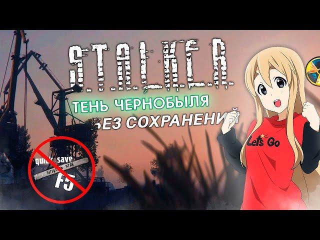 ВОЗМОЖНО ли ПРОЙТИ STALKER Тень Чернобыля БЕЗ СОХРАНЕНИЙ на МАСТЕРЕ? | STALKER Shadow Of Chernobyl