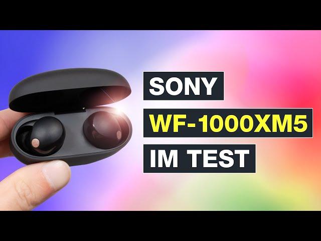 Sony WF-1000XM5 Kopfhörer im Test - Greift Sony nach den Sternen? Testventure - Deutsch