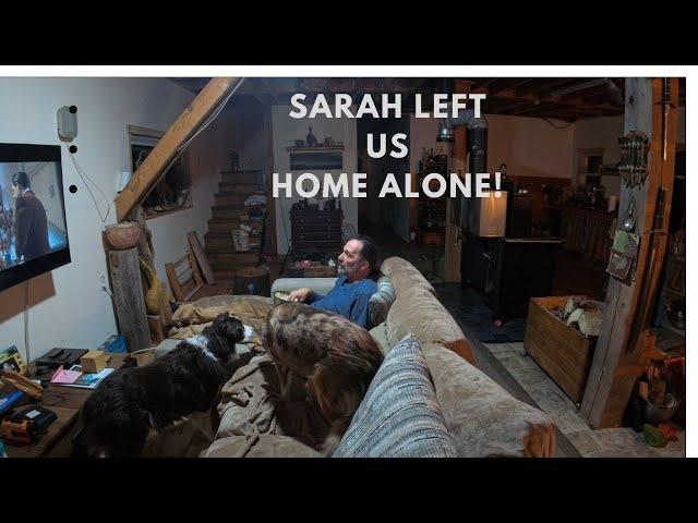 Sarah Left Me Home Alone With The Dogs!