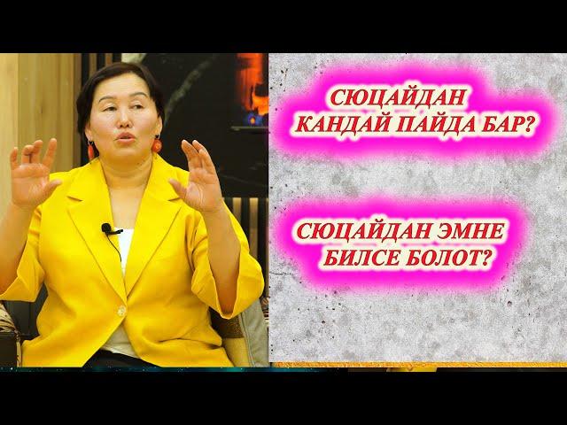 СЮЦАЙ ПАЙДАСЫ ЭМНЕДЕ?  СЮЦАЙ ЧЕБЕРИ КАНТИП ЖАРДАМ БЕРЕТ? Сюцай чебери Гулмайрам Байболова