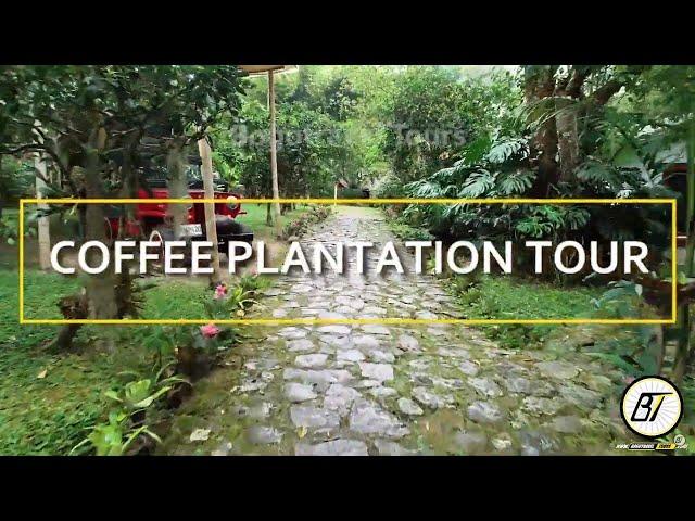 COFFEE FARM TOUR FROM BOGOTA | Coffe tours from Bogota. TOUR ALL INDLUDED, Local guides.