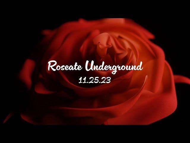 ROSEATE UNDERGROUND 11.25.23