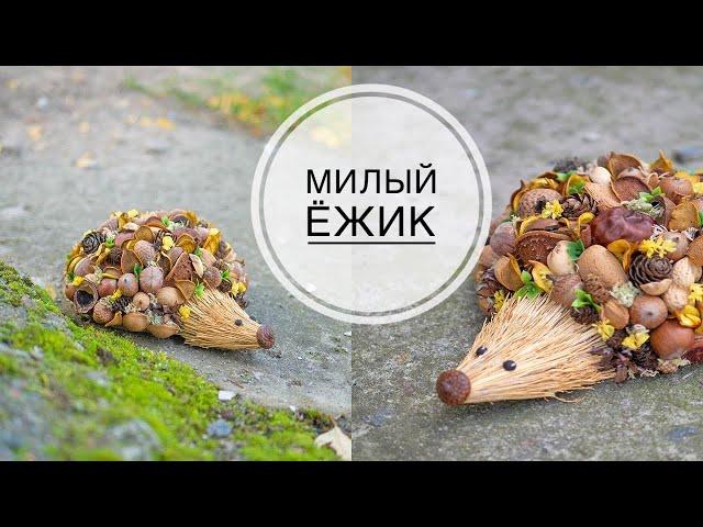  Craft to school Hedgehog / Поделка в школу ЁЖИК / DIY TSVORIC