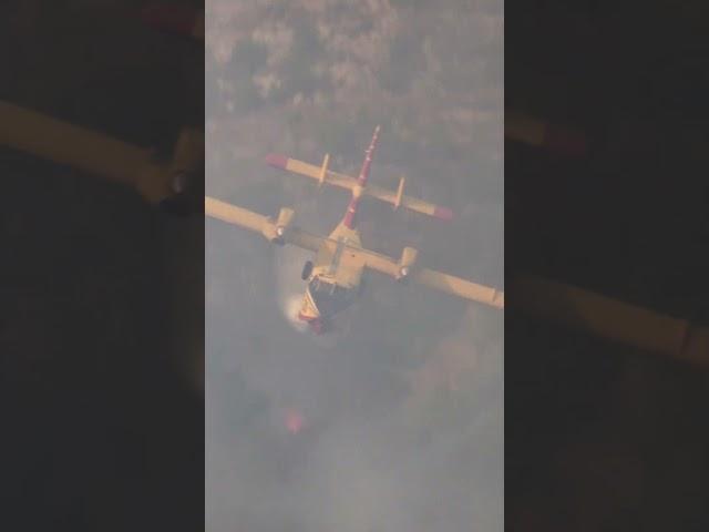 SuperScooper in action over Sicily #shorts #firefighter #forestfire #sicily