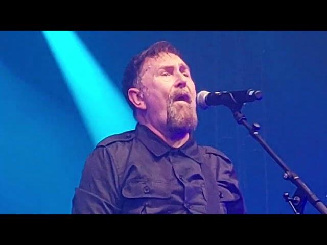 Therapy? Live at Donauinsel Fest Wien Austria 22nd June 2024