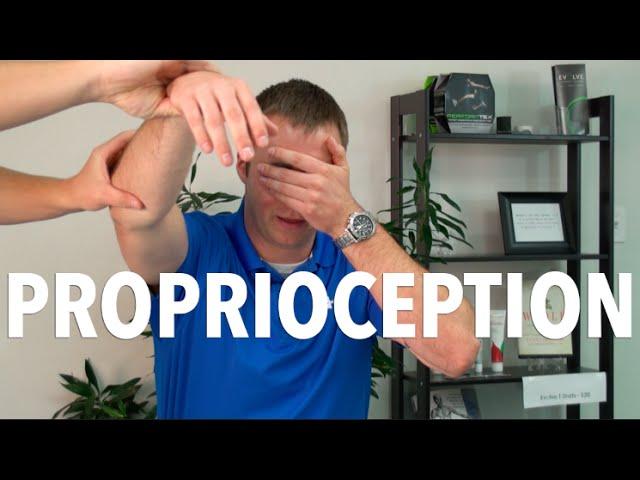 What is Proprioception and Why is it Important? | Molalla Chiropractor