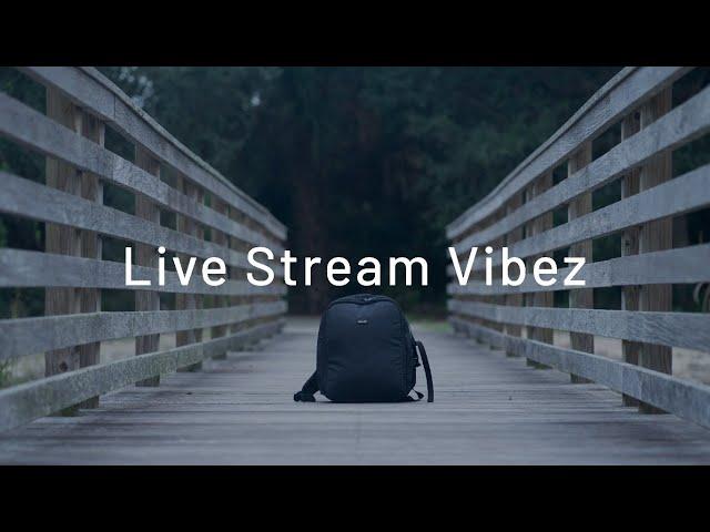 JusTBWise - LiveStream Vibez (Test)