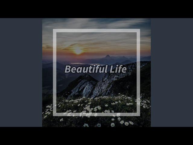 Beautiful Life