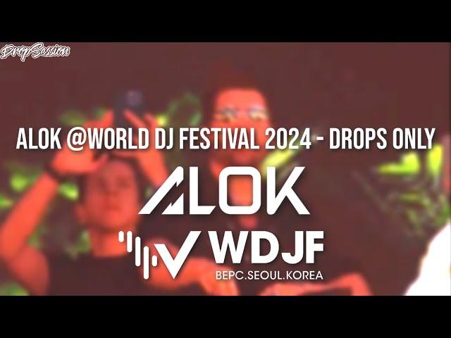 Alok @World DJ Festival 2024 - Drops Only