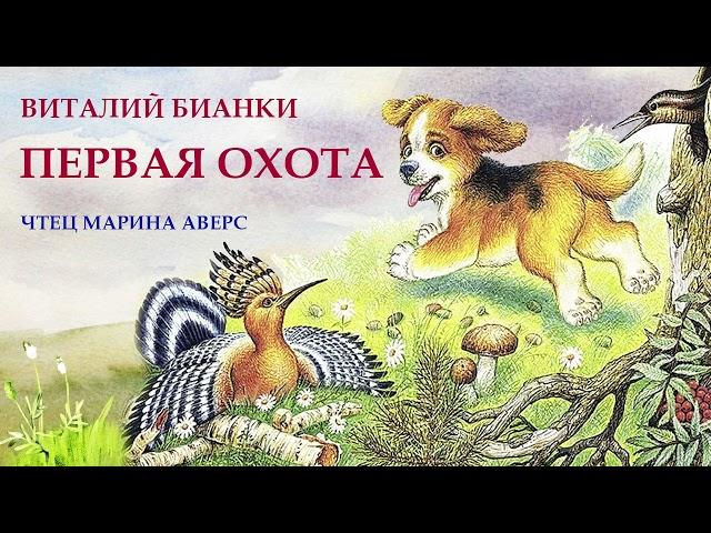 ПЕРВАЯ ОХОТА  | Виталий Бианки | СКАЗКИ ДЛЯ ДЕТЕЙ | Аудио сказка |СКАЗКИ ДЛ ДЕТЕЙ НА НОЧЬ ОНЛАЙН