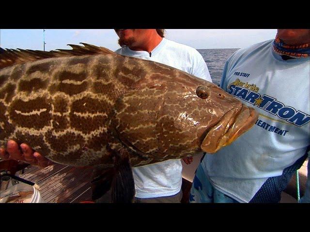 Ocean Fishing for Snapper and Grouper in Dry Tortugas