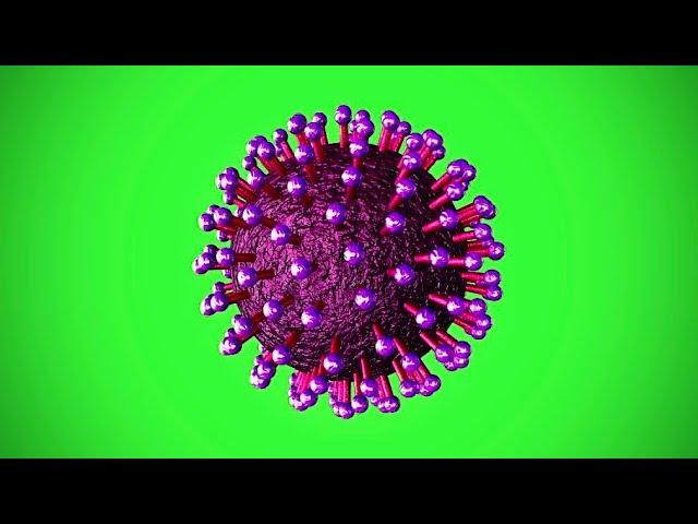 Single Corona Virus covid-19 Green screen Animated Video , No Copyright || stock footage