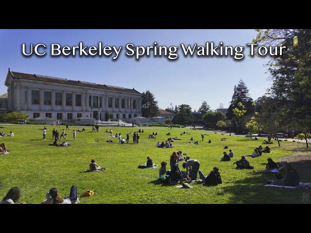 University of California: Berkeley - 4K HDR Walking Tour in Spring