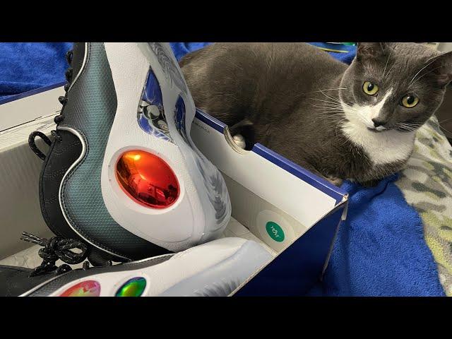 Quick Look: Nike and The Mighty Swooshers(2022) |Special Look #sneakercatguy #reviews #420