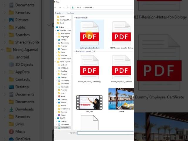 Create Interactive Flipbooks in Minutes from PDF #shorts