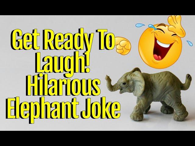 Get Ready To Laugh! Hilarious Elephant Joke