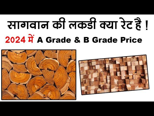 Sagwan Wood Price 2024 || Teak Wood Price in india