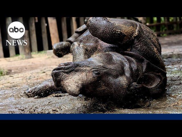 How zoos in the hottest parts of the country keep animals healthy during extreme heat