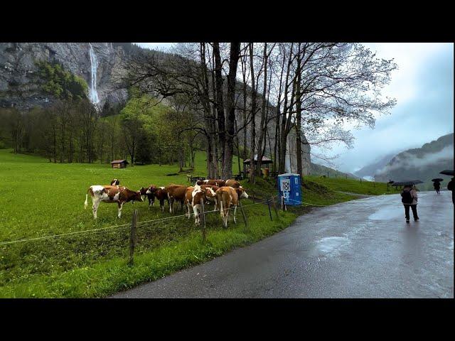 Lauterbrunnen 4K Rainy  - Switzerland