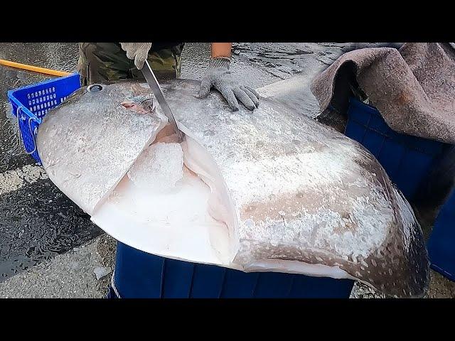 Amazing  sunfish cutting skills  / Homemade cooking (Detailed video of Taiwanese sunfish cutting )